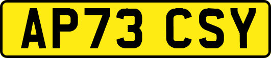 AP73CSY