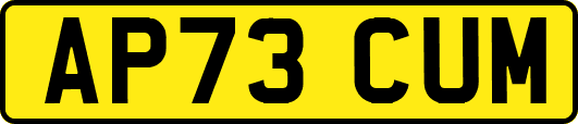 AP73CUM