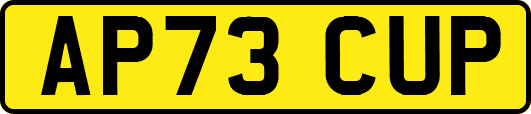 AP73CUP