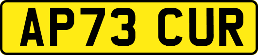 AP73CUR