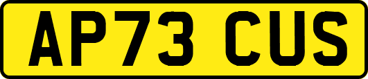 AP73CUS
