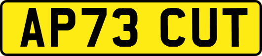 AP73CUT