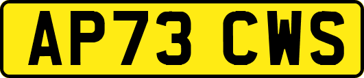 AP73CWS