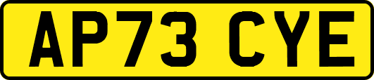 AP73CYE