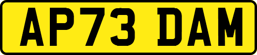 AP73DAM