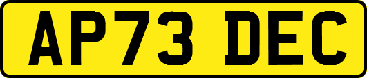 AP73DEC