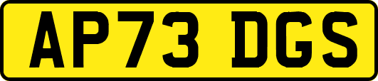 AP73DGS