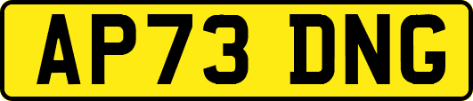 AP73DNG