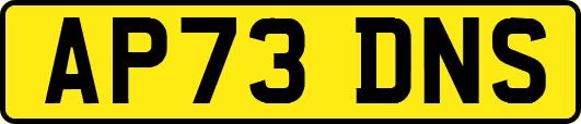 AP73DNS