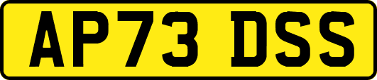 AP73DSS