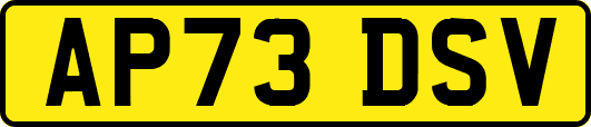 AP73DSV