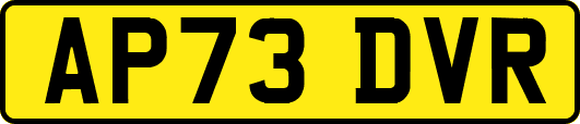 AP73DVR