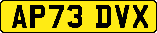 AP73DVX