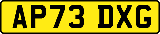 AP73DXG
