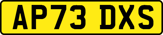 AP73DXS