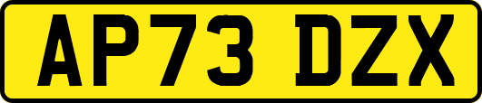 AP73DZX