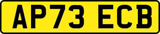 AP73ECB