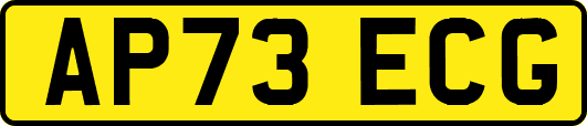AP73ECG