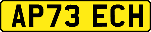 AP73ECH