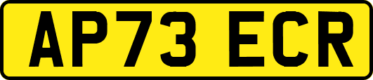 AP73ECR