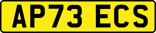 AP73ECS