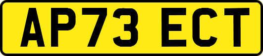 AP73ECT