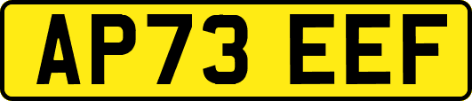 AP73EEF