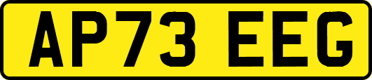 AP73EEG