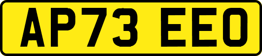 AP73EEO