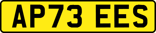 AP73EES