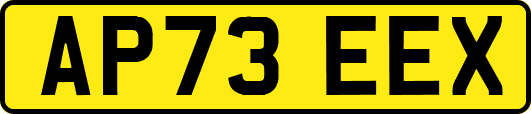 AP73EEX