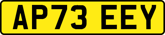 AP73EEY
