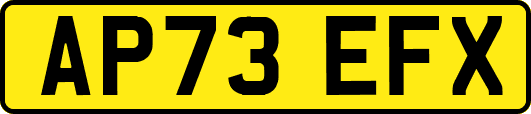 AP73EFX