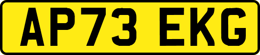 AP73EKG