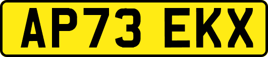 AP73EKX