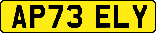 AP73ELY