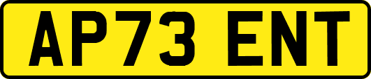 AP73ENT
