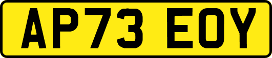 AP73EOY
