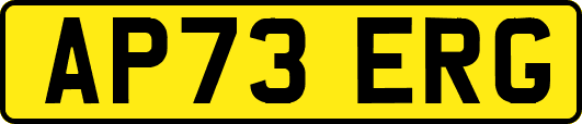 AP73ERG