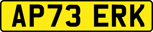 AP73ERK