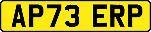 AP73ERP