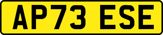 AP73ESE