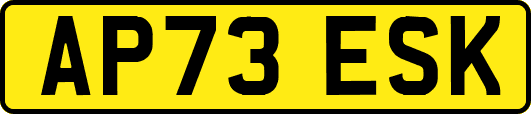 AP73ESK