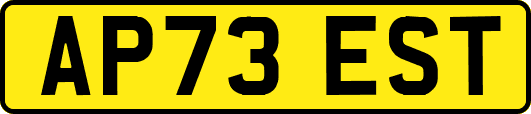 AP73EST