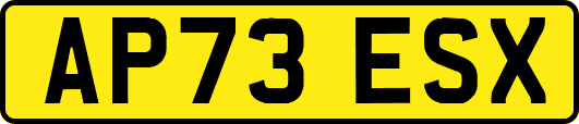 AP73ESX
