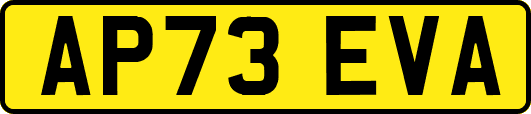 AP73EVA