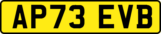 AP73EVB