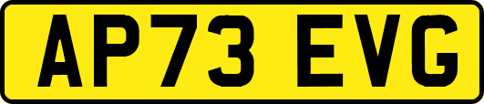 AP73EVG