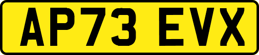 AP73EVX