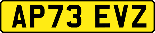 AP73EVZ